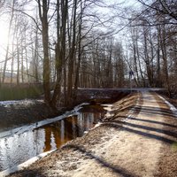 Putas Vijas upē nav radušās no cilvēka izraisīta piesārņojuma, konstatē VVD