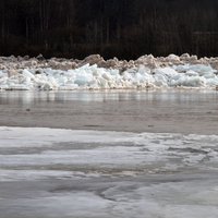 Jēkabpils pusē arvien ceļas ūdens līmenis Daugavā
