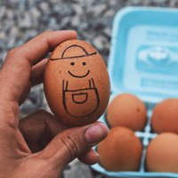 Lieldienu tests: kāda ola tu esi un ko tā vēsta par tavu personību