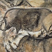 Foto: Unikāli 36 000 gadus seni alu zīmējumi