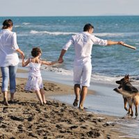 Kurās Rīgas pludmalēs drīkst pastaigāties ar suni?