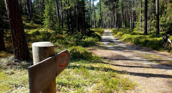 Dabas taka gar Rojas upi, kurā izveidoti septiņi virtuālie skatu torņi