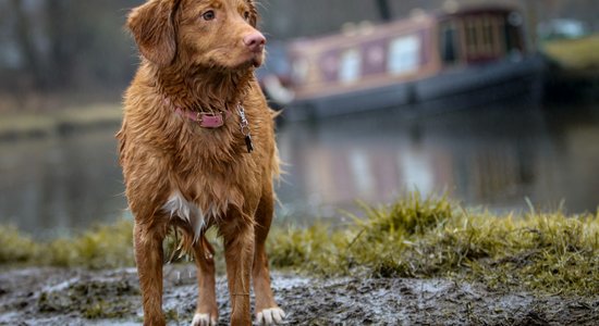 Svētdienas laika prognoze neiepriecina