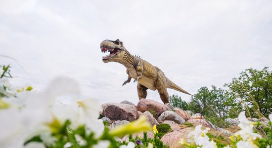 'Avārijas brigādes' parku vasarā apmeklējuši vairāk nekā 80 tūkstoši cilvēku; tas darbosies arī oktobrī