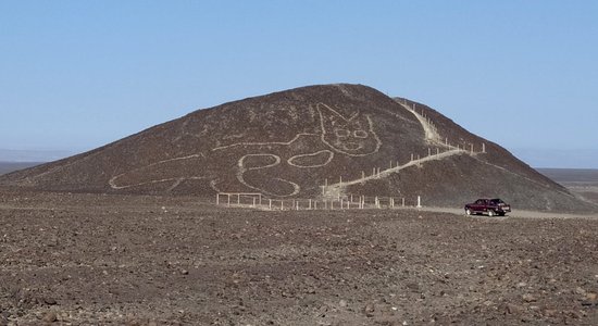 В Перу обнаружили гигантскую кошку. Ей более 2 тысяч лет