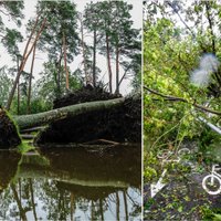 Foto un video: Kā negantā vētra šonedēļ Latviju postīja