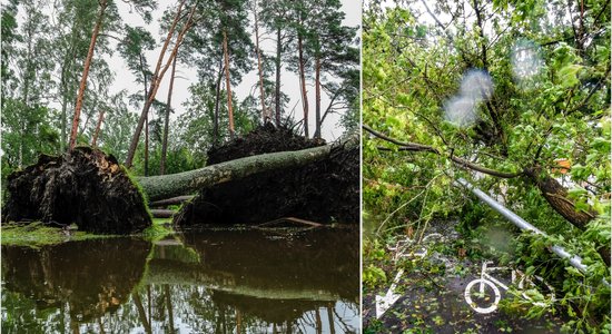 Foto un video: Kā negantā vētra šonedēļ Latviju postīja