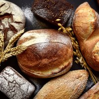 No bagetes līdz fokačai: ērts recepšu un padomu špikeris maizes cepējiem