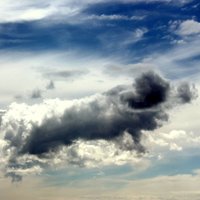 Читатель Delfi увидел облако, которое похоже на свинью