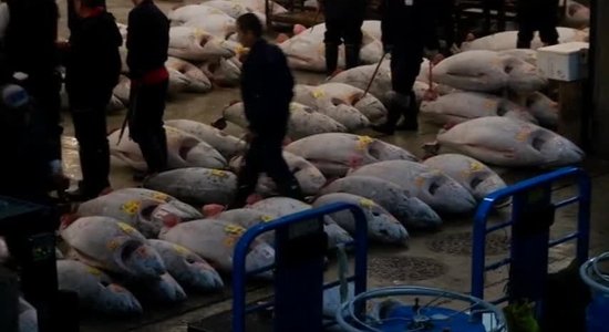 Japānā notikusi tunču izsole