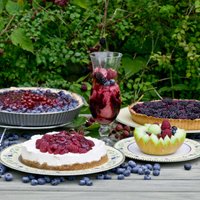 Вкуснейшие домашние пироги с замороженными ягодами: 5 рецептов на все случаи жизни