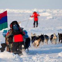 Экспедицию Конюхова уносит от побережья Гренландии