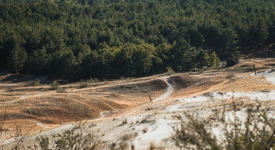 ФОТО. Легендарная дюна Парнидас на Куршской косе глазами фотографа