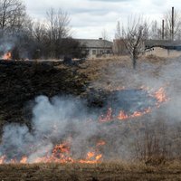 Diennakts laikā notikuši 145 kūlas ugunsgrēki un septiņi meža ugunsgrēki