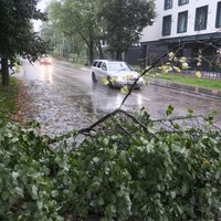 Последствия бури: в Рижскую думу каждый час поступают заявки о помощи, в городе будут работать две площадки для сбора поваленных деревьев