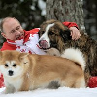 Pasauli pārsteidz Putina rotaļas ar suņiem