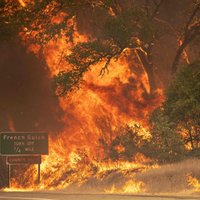 Тысячи жителей Калифорнии бегут от "огненного торнадо". Двое пожарных погибли