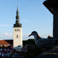 'Covid-19': Igaunijā ārkārtējā situācija; Viļņā slēdz skolas