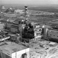 В Чернобыльской зоне отчуждения возник масштабный лесной пожар