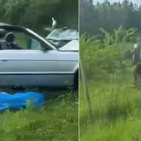 Trīs bojāgājušie BMW spēkrata avārijā Engures pagastā