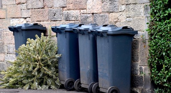 Lūk, kad tradicionāli būtu jāatbrīvojas no Ziemassvētku eglītes