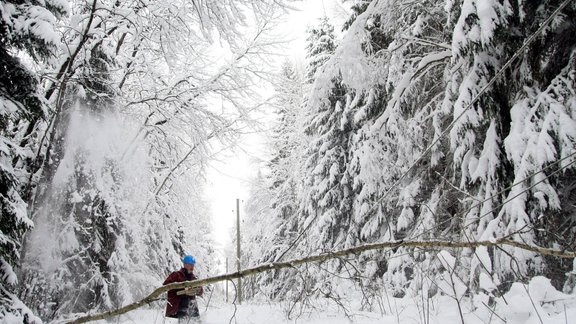 Elektrolīniju atbrīvošana no sniega un kokiem - 20