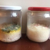 Pašmāju sensācija: Eksperiments ar rīsu vārdošanu