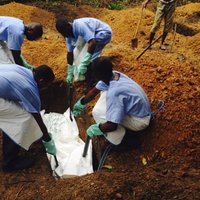 ВОЗ: число жертв лихорадки Эбола достигло 1145 человек