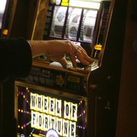 Водитель туристического автобуса украл у иностранца более 3000 евро и проиграл их в казино