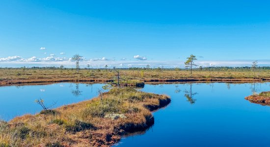 Brīvdienu maršruts: sešus kilometrus garā Nigulas purva mācību taka Igaunijā