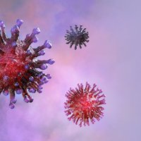 В структурах ЕС выявлен первый случай коронавируса