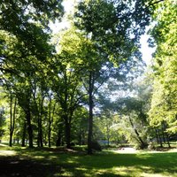 Rīgas dome piešķir 742 368 eiro Aldara parka atjaunošanai