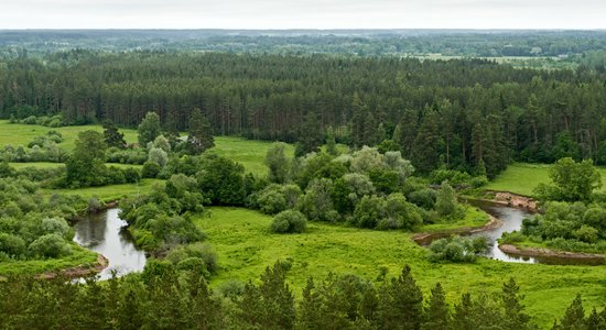 Latvija no augstāka punkta – ievērības cienīgi skatu torņi, ko vērts apmeklēt