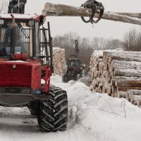 FKTK atļauj Štākam izteikt 'Talsu mežrūpniecības' obligāto akciju atpirkšanas piedāvājumu