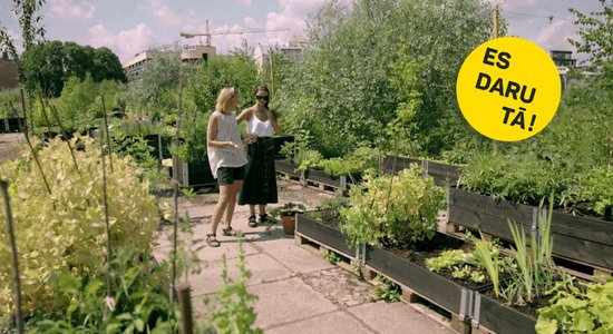 Dārziņš pilsētā: Dita Birkenšteina un viņas zaļais vaļasprieks