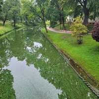 Foto: Rīgas kanāla ūdens ieguvis zaļganu nokrāsu