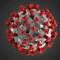 Борьбу с коронавирусом может осложнить его более долгий инкубационный период