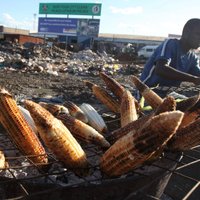 Zimbabvē nav kara, taču draud pašu izraisīts bads, brīdina eksperte
