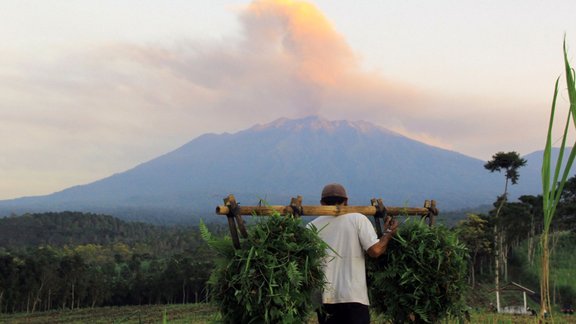 bali