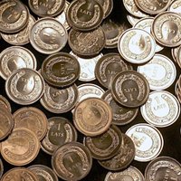 Maruta Brūkle: Tilts starp latu un eiro – īpašās kolekciju monētas