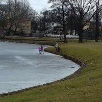 Foto: Pārgalvīgi bērni staigā pa Māras dīķa ledu