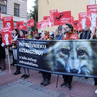 Foto: 'Brīvību dzīvniekiem!' – pie Saeimas aktīvi piketē pret kažokzvēru audzētavām