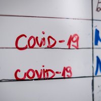 Количество пациентов с Covid-19 в больницах увеличилось до 333 человек