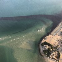 Kuveita cenšas pakļaut kontrolei naftas piesārņojumu Persijas līcī