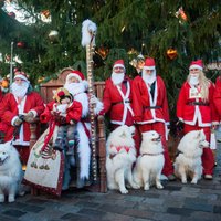 ФОТО: Забег Дедов Морозов в Риге собрал рекордное число участников
