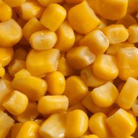 Кукурузная диета: меню, минусы-плюсы и противопоказания