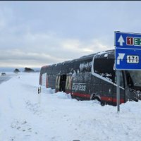 ФОТО. В Эстонии три автобуса Таллин-Санкт-Петербург съехали в кювет. Виноват ветер