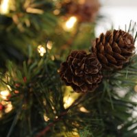 Рижан и гостей столицы приглашают на фестиваль рождественских елок