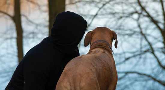 Pārdzīvot mājdzīvnieka nāvi var būt grūtāk nekā tuvinieka aiziešanu. Kāpēc tā?