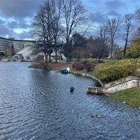 Foto: Rīgā vētras postījumi nelieli, bet pilsētniekus lūdz neapmeklēt parkus un kapsētas